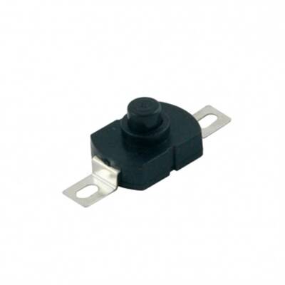 IC-192A ÇIT ÇIT ANAHTAR (PBS17A) VİDALI - 1